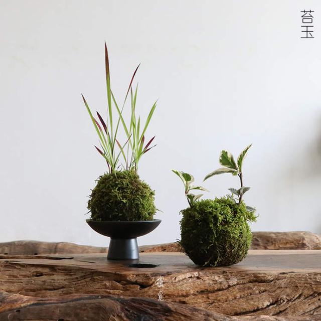 卖花的口才技巧，花市买花的技巧和方法