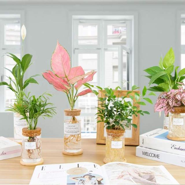 卖花的口才技巧，花市买花的技巧和方法