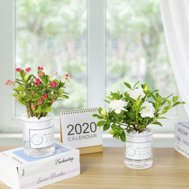 卖花的口才技巧，花市买花的技巧和方法