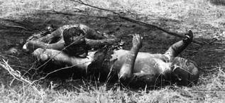 琵琶女是怎么样的人，琵琶女遭遇了怎样的人生