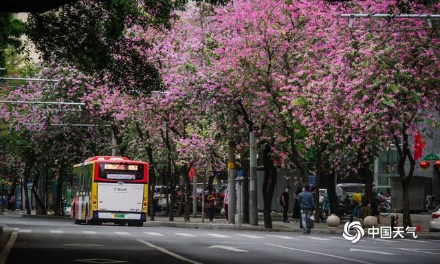 春天的美景图片，一组图带你领略祖国大地的春日美景（美丽的春日风景图）