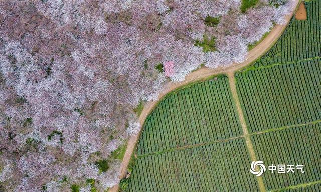 春天的美景图片，一组图带你领略祖国大地的春日美景（美丽的春日风景图）