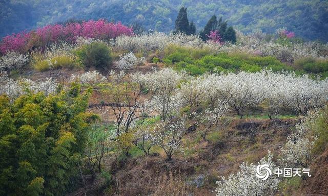 春天的美景图片，一组图带你领略祖国大地的春日美景（美丽的春日风景图）