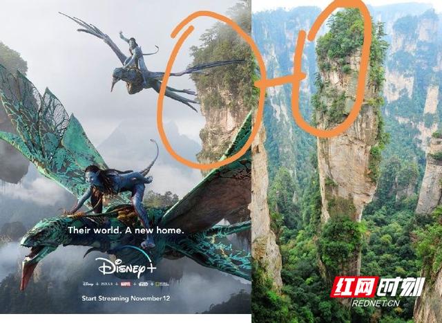 阿凡达拍摄地在哪，阿凡达取景在张家界哪里（《阿凡达》取景地张家界将成为世界旅游目的地）