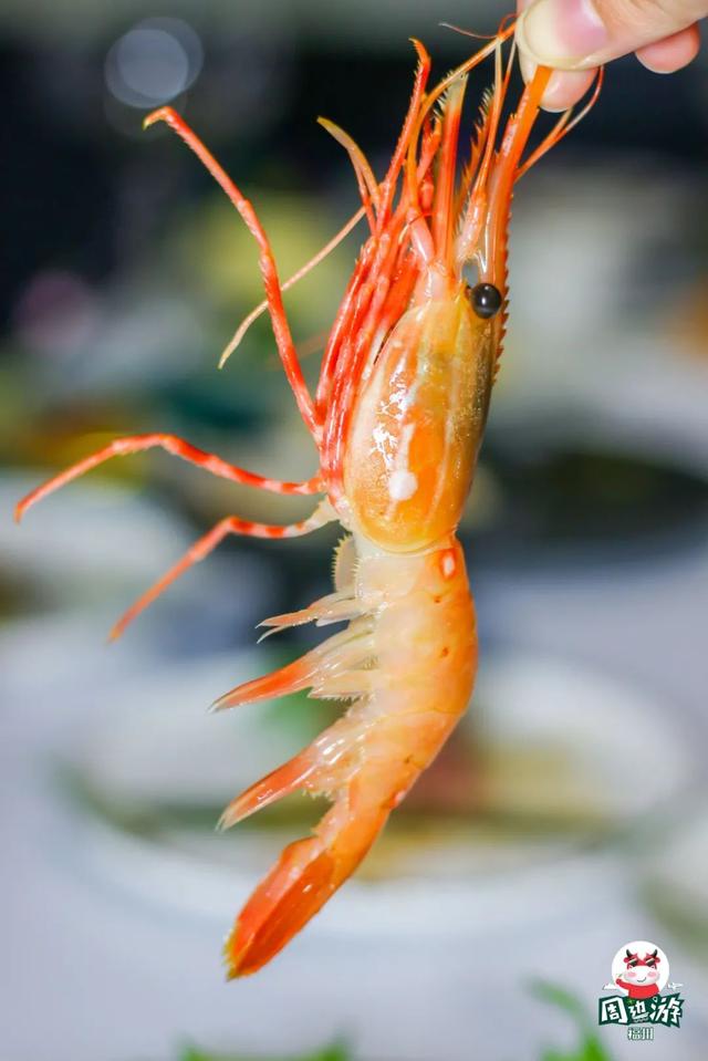 福州美食推荐餐厅，来福州必吃的高档餐厅（福州十大人气餐馆）