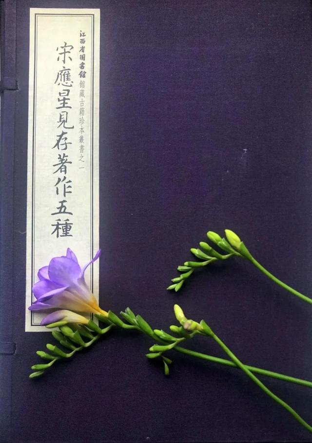 宋应星人生生平简介，书评宋应星不只是科学家