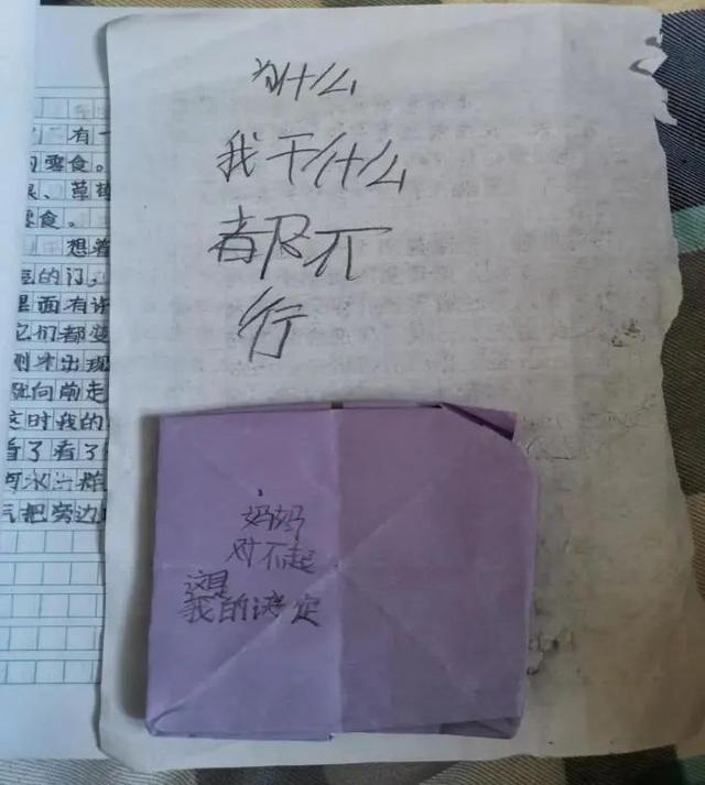 西安9歲女孩因沒按時完成作業，從15樓跳下！她的最後一句話，令人淚目… - 天天要聞