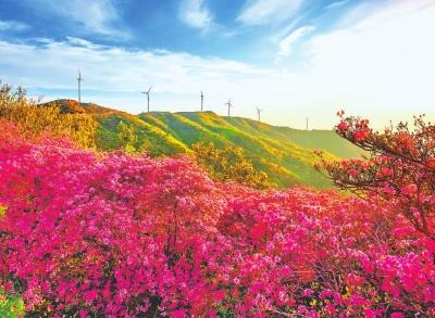 信阳风景最美的水库，信阳罗山县九里落雁湖