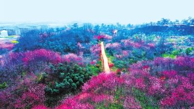 信阳风景最美的水库，信阳罗山县九里落雁湖