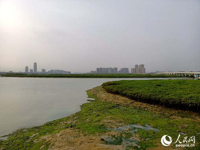 厦门最新网红打卡点你知道吗，厦门沙尾坡一酒馆成网红打卡点