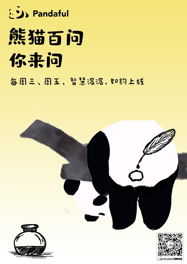 大熊猫的尾巴是白色的吗是真的吗，熊猫百问你来问