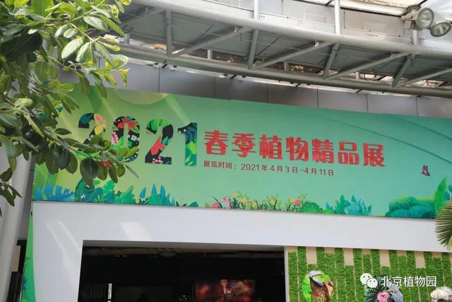 缤纷花事不断档，北京植物园现在有花展吗