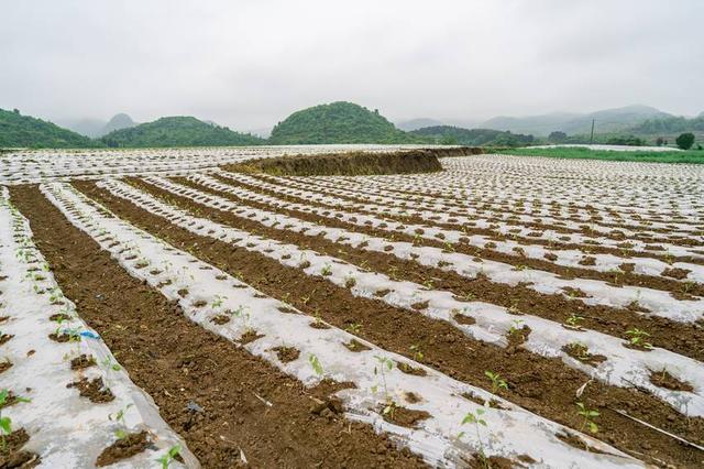 贵州福泉旅游景点大全，贵州福泉乡村田园美如画