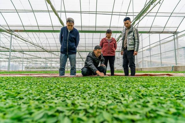 贵州福泉旅游景点大全，贵州福泉乡村田园美如画