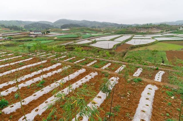 贵州福泉旅游景点大全，贵州福泉乡村田园美如画