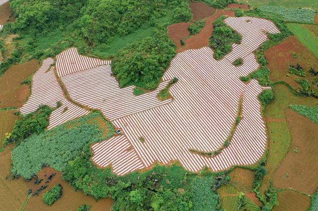 贵州福泉旅游景点大全，贵州福泉乡村田园美如画