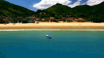 年下小狼狗言情，有被这种兽性温暖到