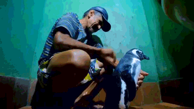 年下小狼狗言情，有被这种兽性温暖到