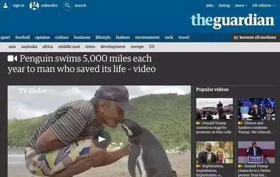 年下小狼狗言情，有被这种兽性温暖到