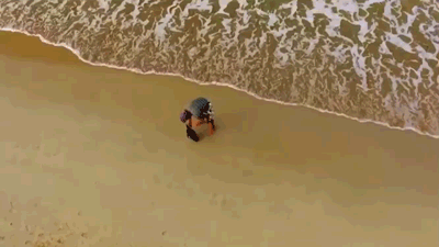 年下小狼狗言情，有被这种兽性温暖到