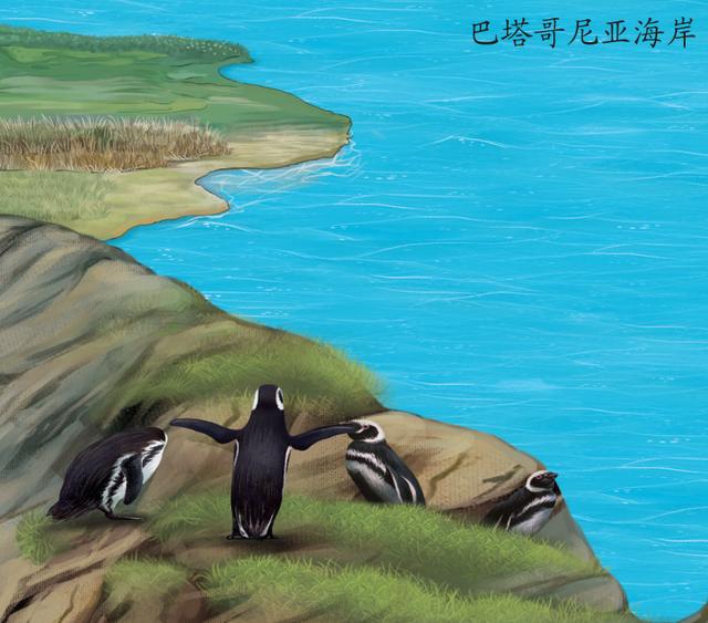 企鹅知识科普，小编带你系统地了解企鹅