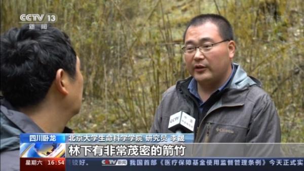 卧龙大熊猫基地，卧龙自然保护区大熊猫基地