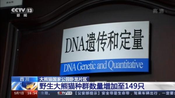 卧龙大熊猫基地，卧龙自然保护区大熊猫基地