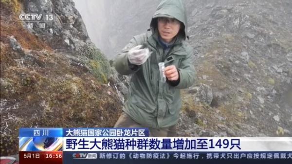 卧龙大熊猫基地，卧龙自然保护区大熊猫基地
