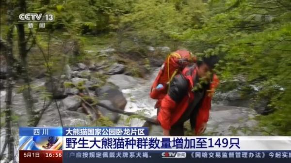 卧龙大熊猫基地，卧龙自然保护区大熊猫基地