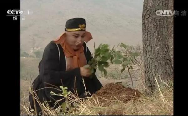 猪八戒是一个什么样的人物品质，唐僧、悟空、八戒、沙僧