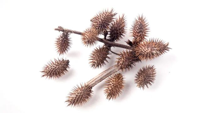目赤是什么症状，目赤眩晕的症状（医生：眼睛出现这3个症状）