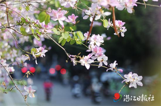 皮肤过敏治疗小妙招，一换季就过敏的小妙招（史上最实用的防治过敏大全）