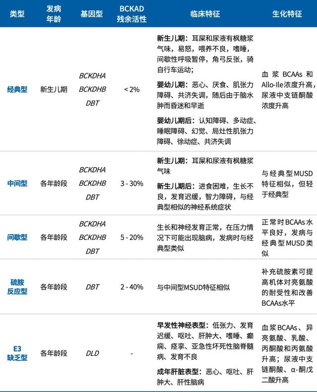 枫糖尿病(枫糖尿病是一种单基因遗传病,患者氨基酸代谢异常)