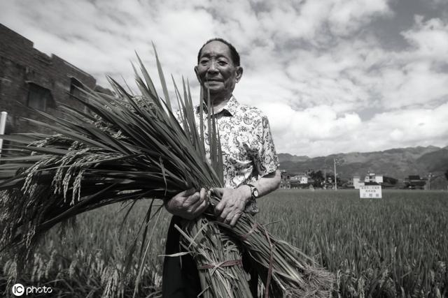 （杂交水稻之父袁隆平去世），（杂交水稻之父袁隆平去世（袁隆平院士逝世两周年）