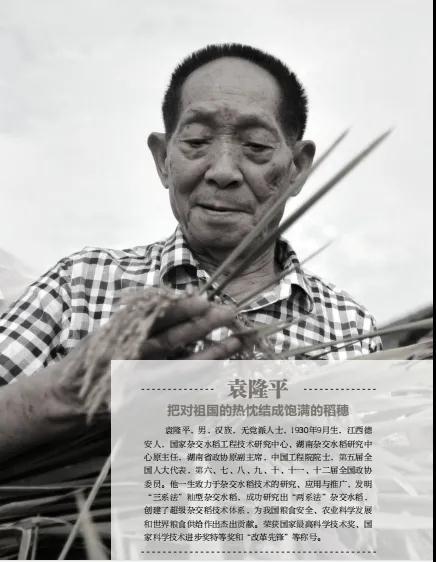 （杂交水稻之父袁隆平去世），（杂交水稻之父袁隆平去世（袁隆平院士逝世两周年）