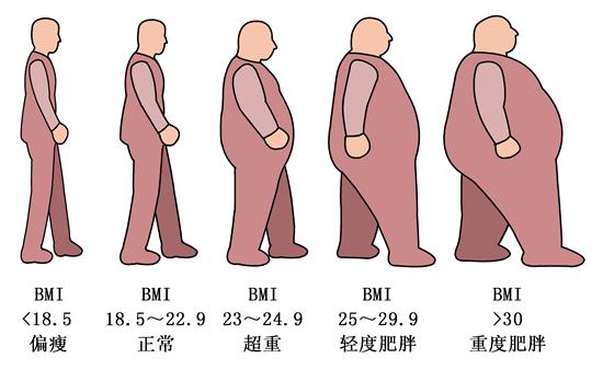 小学防肥胖(小学预防肥胖主题班会)
