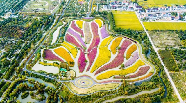 谁是你心目中的金山地标No.1，金山城市中心在哪里