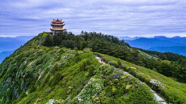 峨眉山金顶海拔多少米，峨眉山金顶能看到哪座山（四川峨眉山最高峰万佛顶5月27日起重新对外开放）