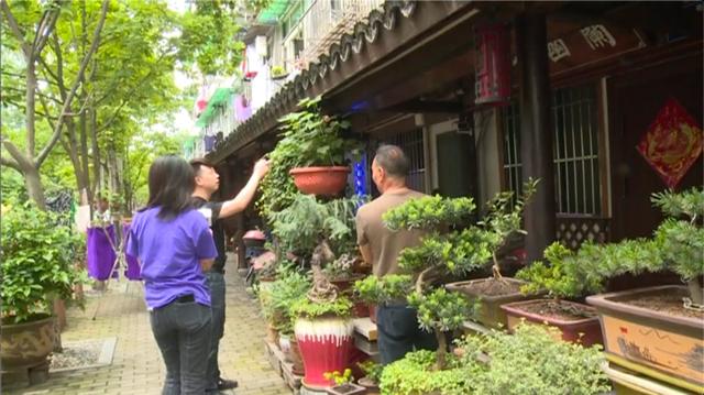 白蚁危害分布地图，密密麻麻太吓人了