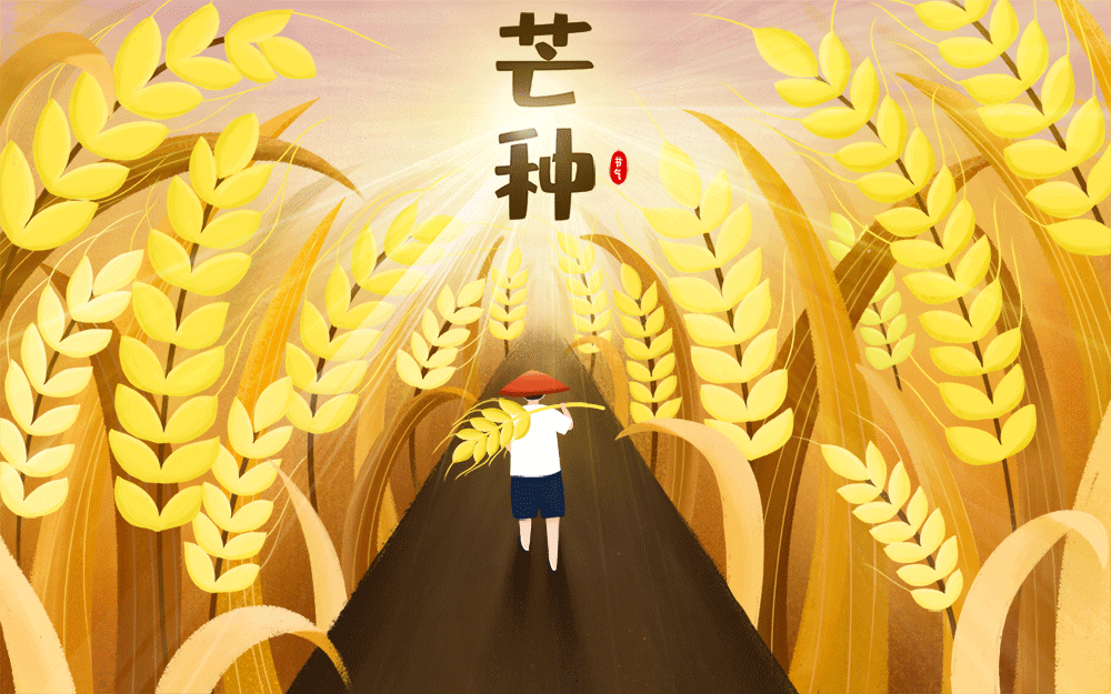 24节气芒种简介，二十四节气丨芒种