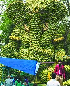 糖尿病香蕉皮(香蕉皮与糖尿病)