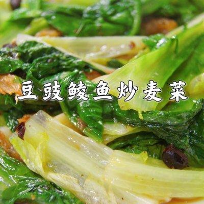 豆豉鲮鱼油麦菜怎么做好吃，豆豉鲮鱼炒油麦菜的家常做法（今日菜谱 ， 豆豉鲮鱼油麦菜）