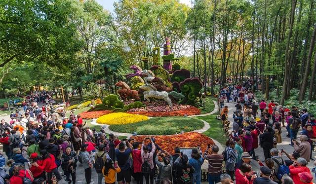 上海共青森林公园 攻略，上海共青森林公园全新预约流程上线