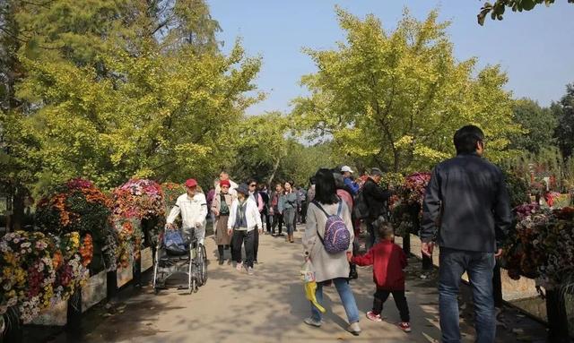 上海共青森林公园 攻略，上海共青森林公园全新预约流程上线