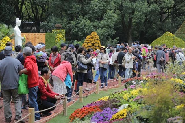 上海共青森林公园 攻略，上海共青森林公园全新预约流程上线