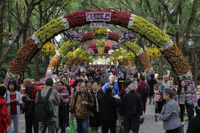 上海共青森林公园 攻略，上海共青森林公园全新预约流程上线