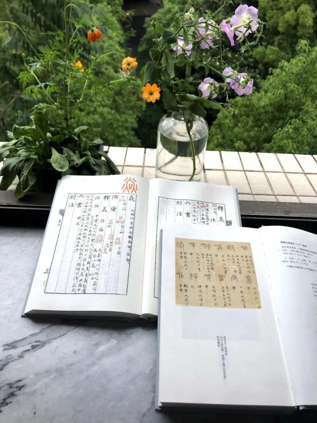 说文解字540部首歌诀手机版，好书推荐说文部首源流