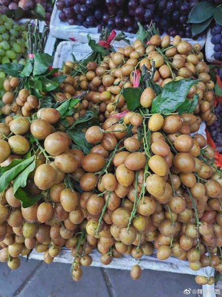 广西黄皮酱制作方法，广西小吃做法大全之广西特色黄皮酱