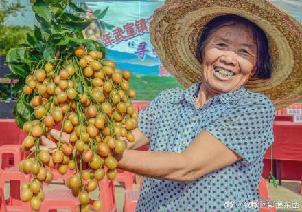 广西黄皮酱制作方法，广西小吃做法大全之广西特色黄皮酱