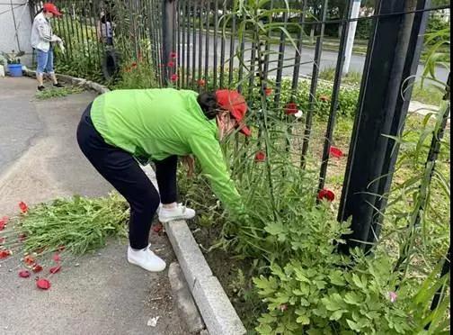 多种形式禁毒宣传教育，多形式、多渠道开展国际禁毒日宣传活动